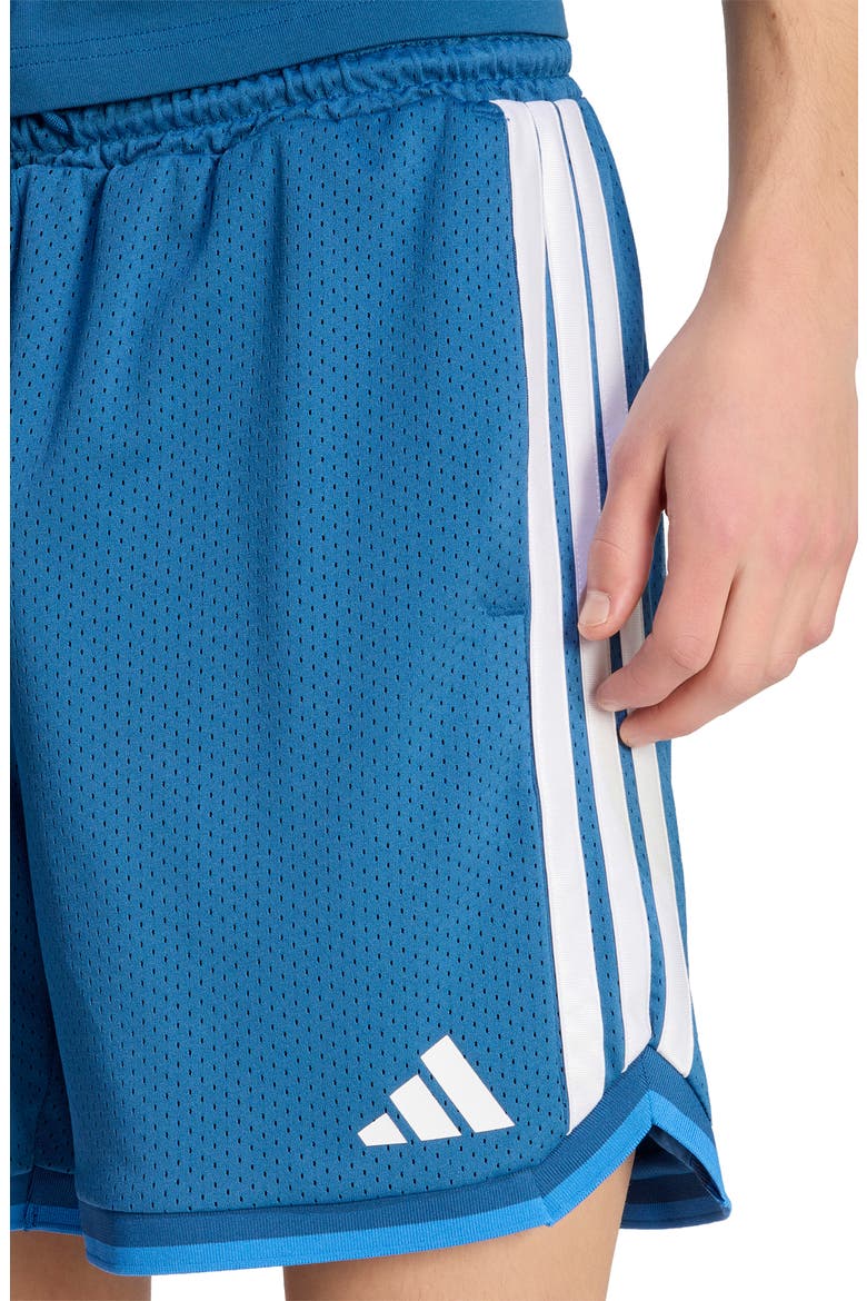 Stadium Mesh Shorts, Alternate, color, DUSKY PETROL/ RAY BLUE/ WHITE