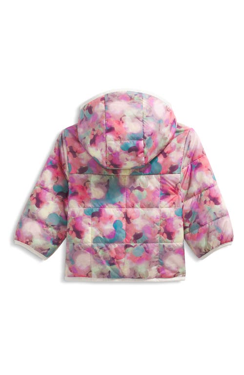 The North Face Reversible Shasta Quilted Jacket In Neutral