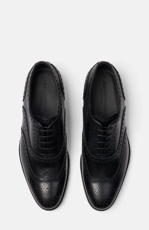 Scarosso Philip Oxfords