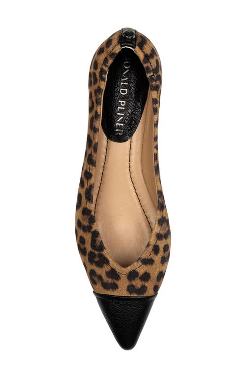 Donald Pliner Ladonna Pointed Toe Pump In Brown