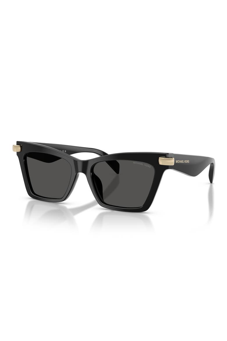 Grand Cayman 54mm Cat Eye Sunglasses, Alternate, color, BLACK / GREY MONO