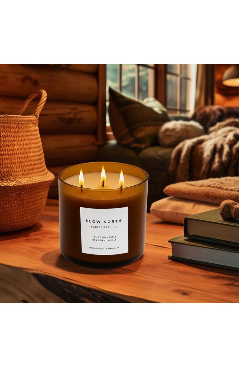 SLOW NORTH Forest Bathing - Signature 3-Wick Candle, Alternate, color, Brown