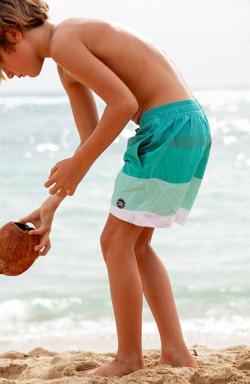 Feather 4 Arrow Kids' Wave Stripe Volley Swim Trunks In Lagoon