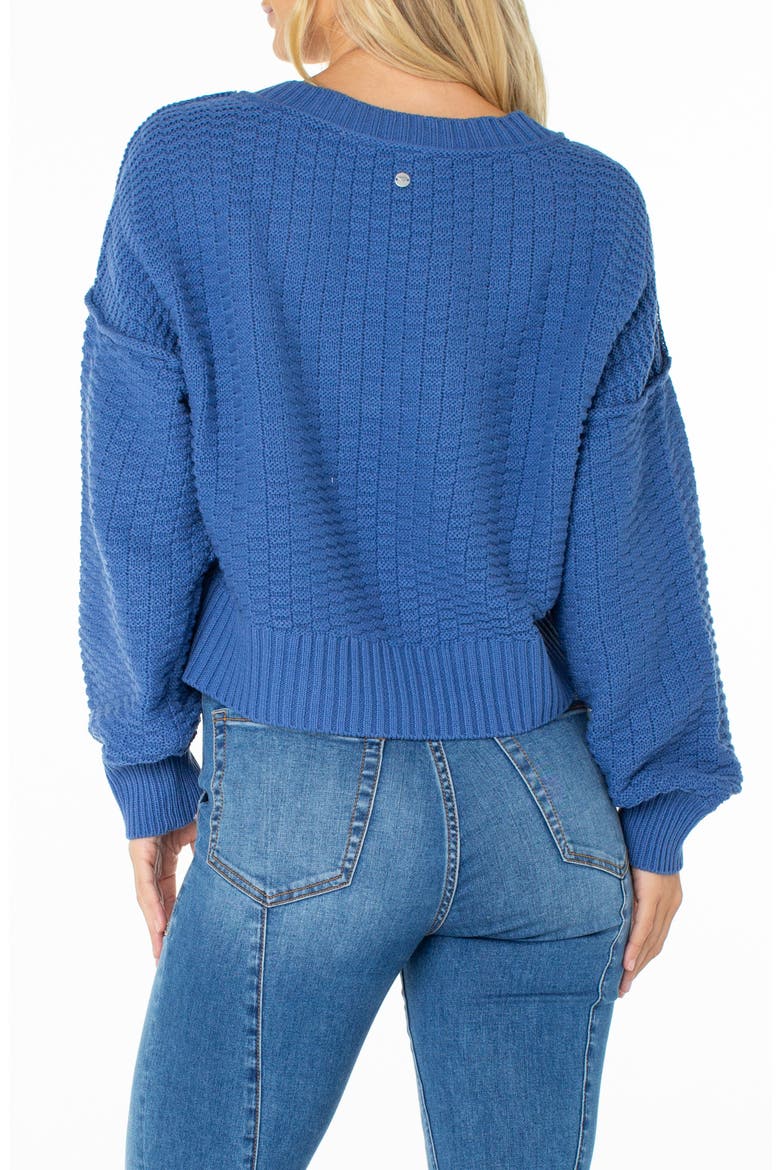 Study Hall V-Neck Cotton Blend Sweater, Alternate, color, DUTCH BLUE