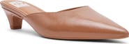 DV by Dolce Vita Pointed Toe Mule
