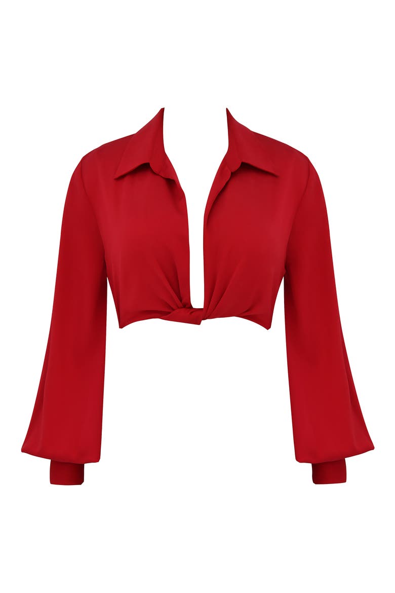 Laraine Plunge Neck Stretch Silk Crop Blouse, Alternate, color, RED ROSE