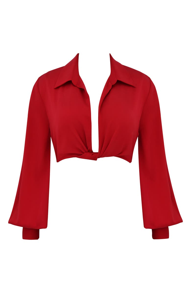 HOUSE OF CB Laraine Plunge Neck Stretch Silk Crop Blouse, Alternate, color, Red Rose