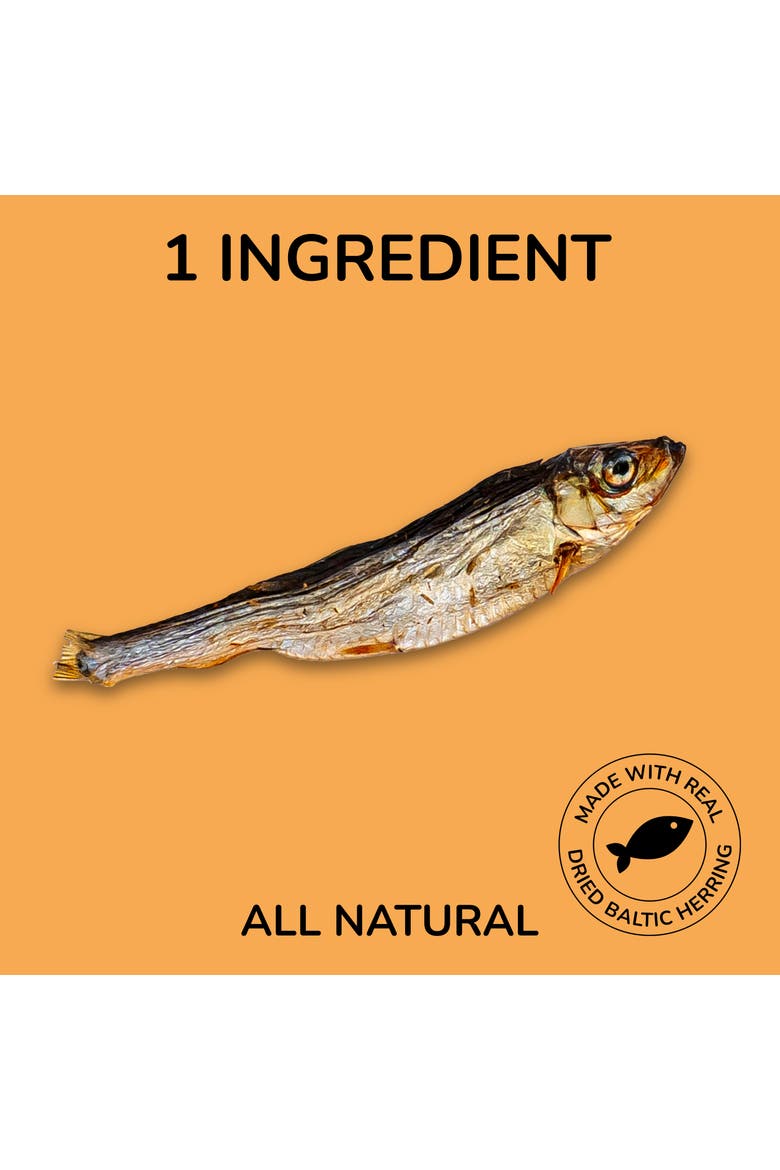 Gluten and Grain-Free Omega-3 Single Ingredient Crunchy Dried Baltic Herring for Dogs and Cats, Alternate, color, Baltic Herring Dog/Cat 2 Pack