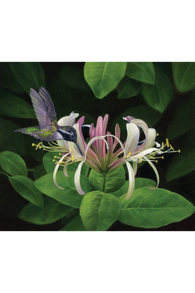 Finding Nectar 550 piece Jigsaw Puzzle for Adults, Alternate, color, Multicolor