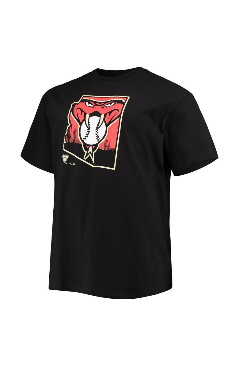 PROFILE Men's Black Arizona Diamondbacks Big & Tall Hometown Collection Baja T-Shirt, Alternate, color, 