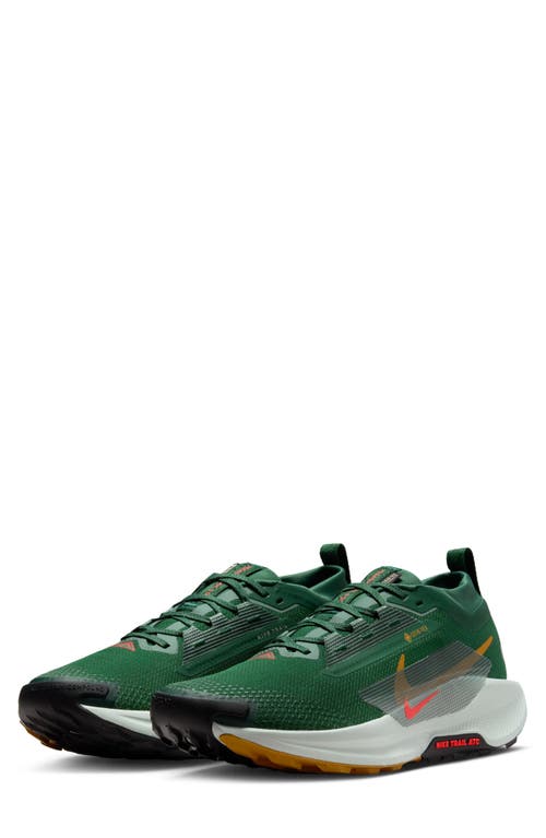 Nike Men's Pegasus Trail 5 Gore-tex Waterproof Trail Running Shoes In Multi