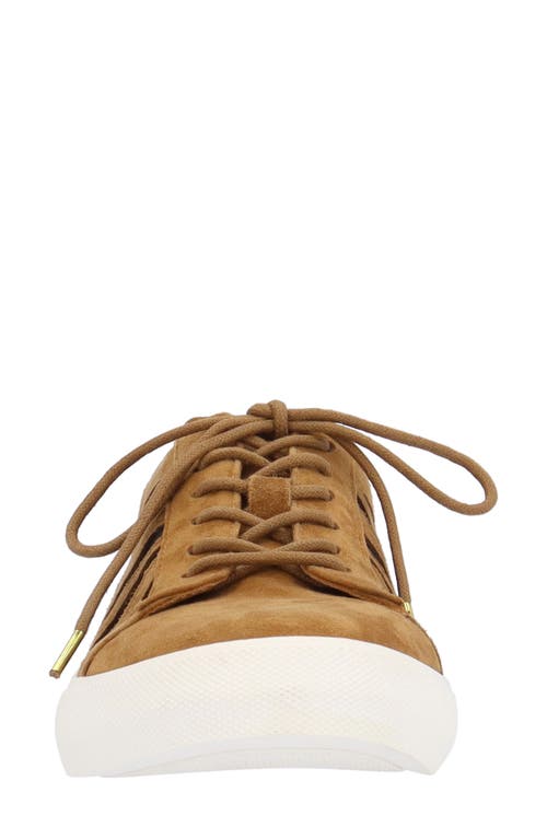 L'amour Des Pieds Keaton Mesh Cutout Platform Sneaker In Coffee/black