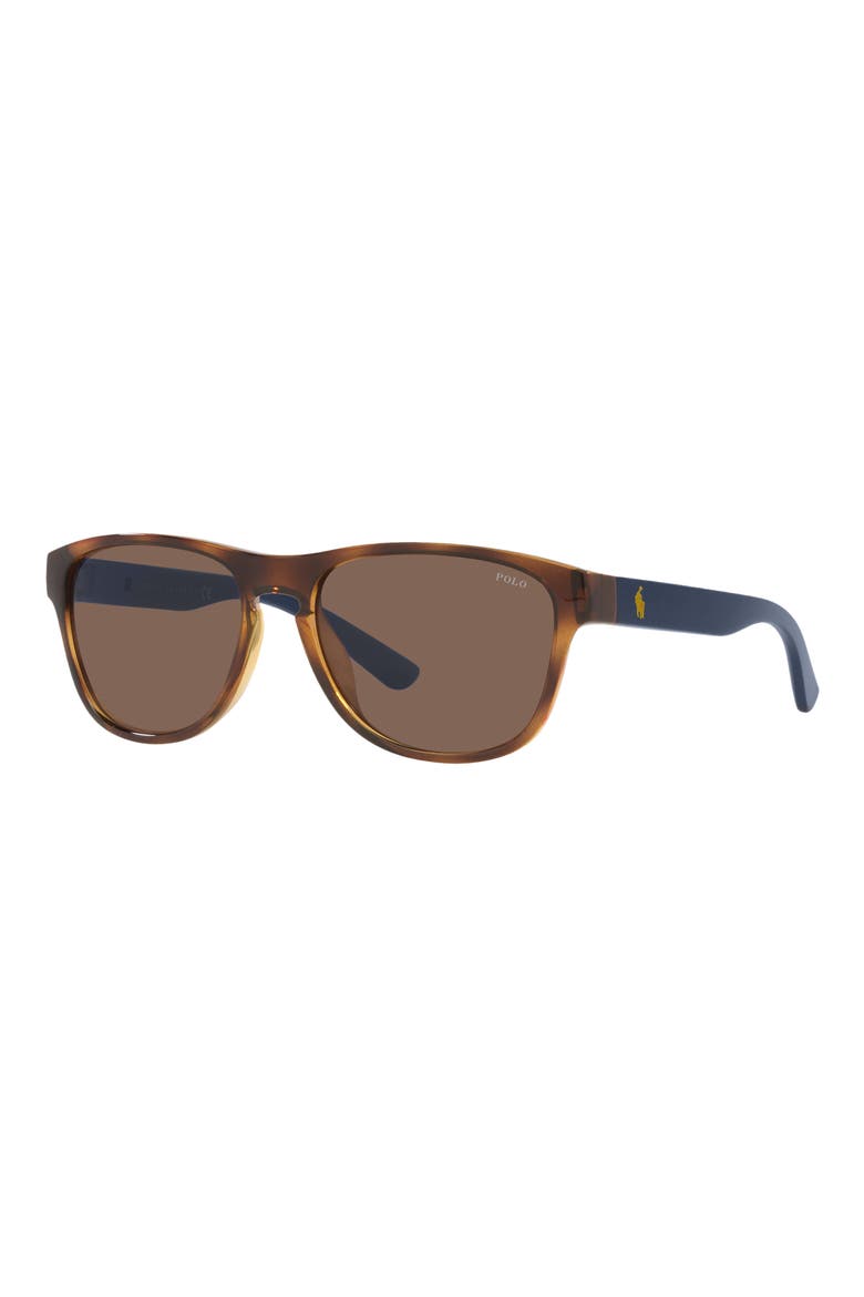 56mm Pillow Sunglasses, Alternate, color, SHINY HAVANA / BROWN