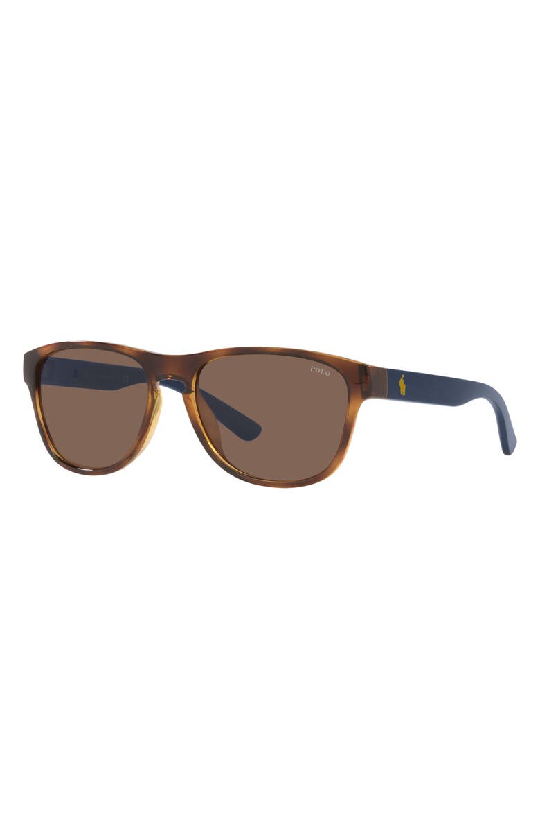 Polo Ralph Lauren 56mm Pillow Sunglasses, Alternate, color, Shiny Havana / Brown