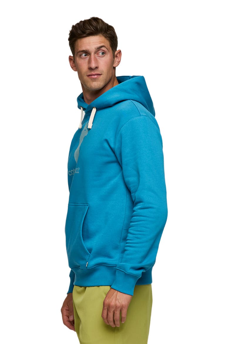Llama Pullover Hoodie - Men's, Alternate, color, Lake