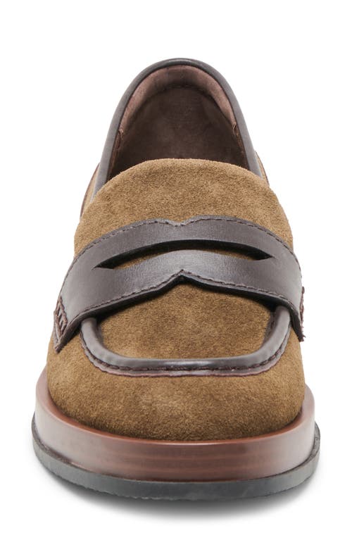 Dolce Vita Abey Penny Loafer In Brown