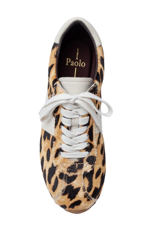 Linea Paolo Kova Genuine Calf Hair Sneaker In Brown