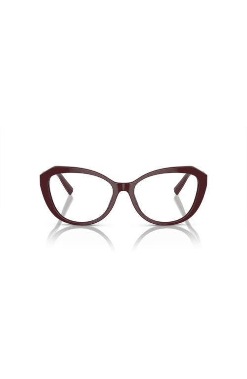 Tiffany & Co . 54mm Cat Eye Optical Glasses In Brown