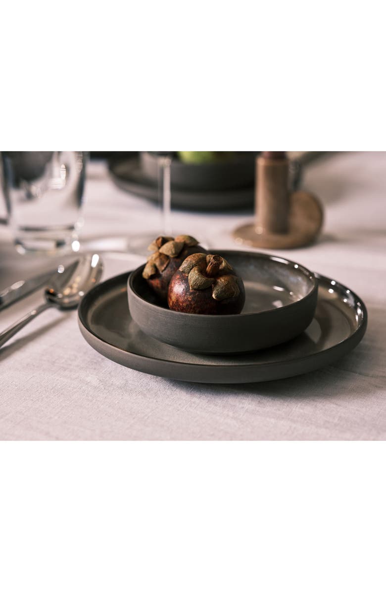 Fortessa Northern Lights 16-Piece Dinnerware Place Setting, Alternate, color, Borealis Silt