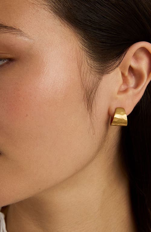 Dean Davidson Mara Wide Huggie Hoop Earrings In Gold