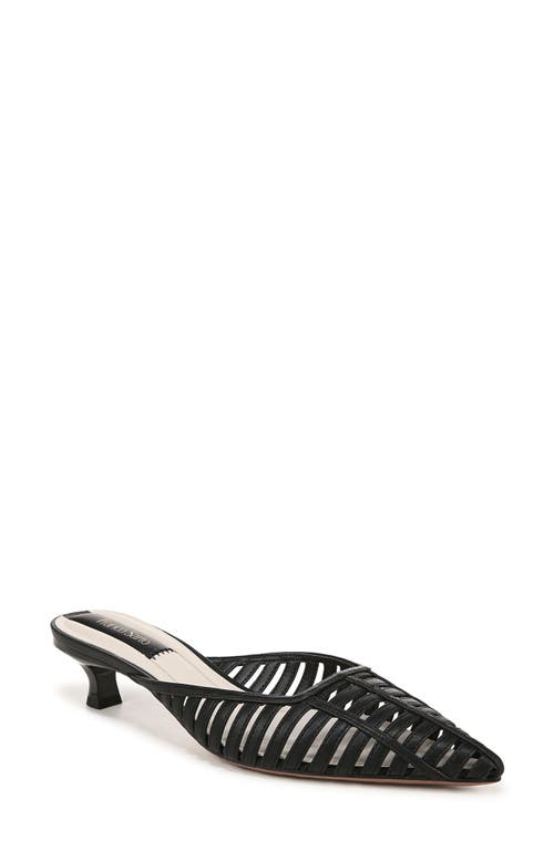 Franco Sarto Women's Marlina Fisherman Pointed Toe Kitten Heel Mules In Black