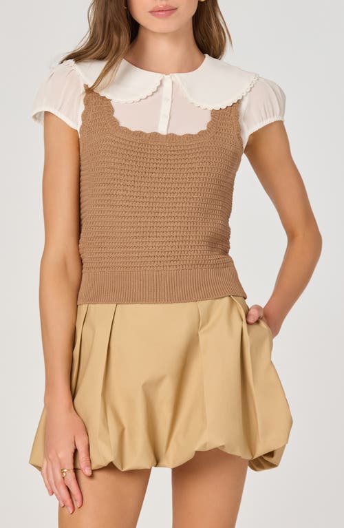 Astr The Label Mixed Media Sweater In Brown