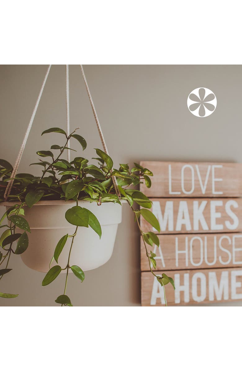 Bloem Dura Cotta Self Watering Hanging Basket Planter 12 Inch Terra Cotta, Alternate, color, Brown