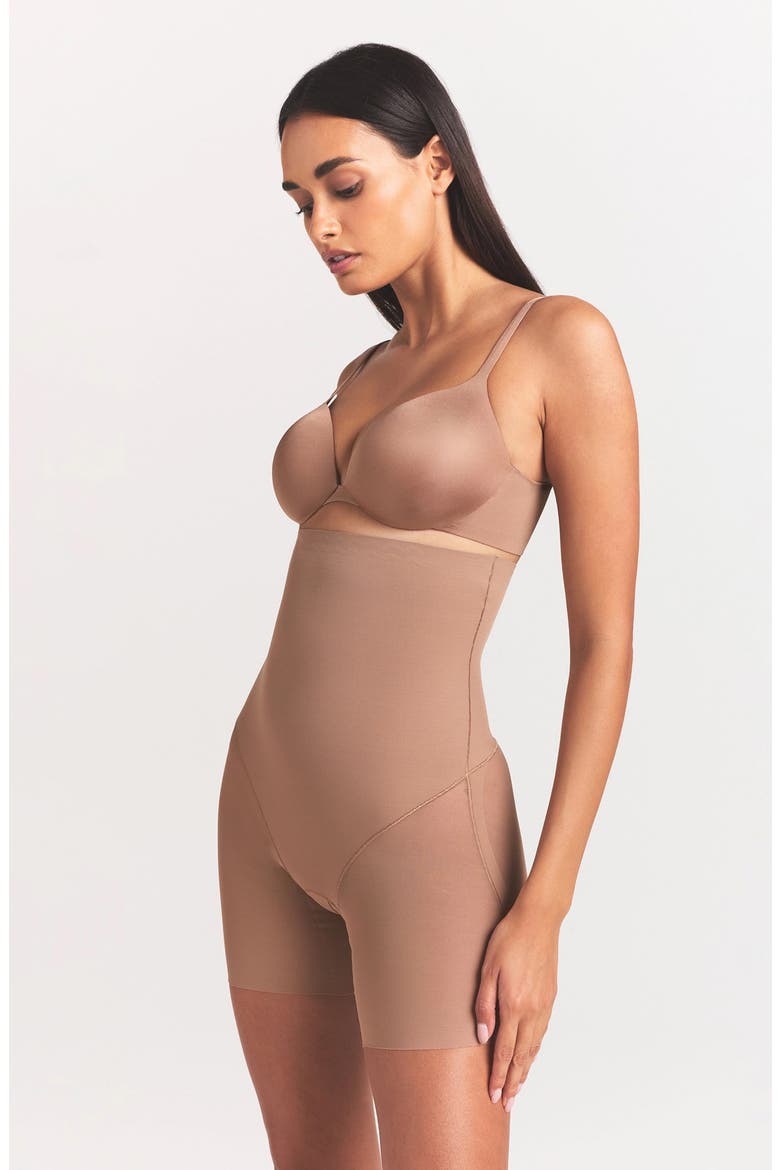 Powermesh Zoned High Waisted Shorts, Alternate, color, SIENNA