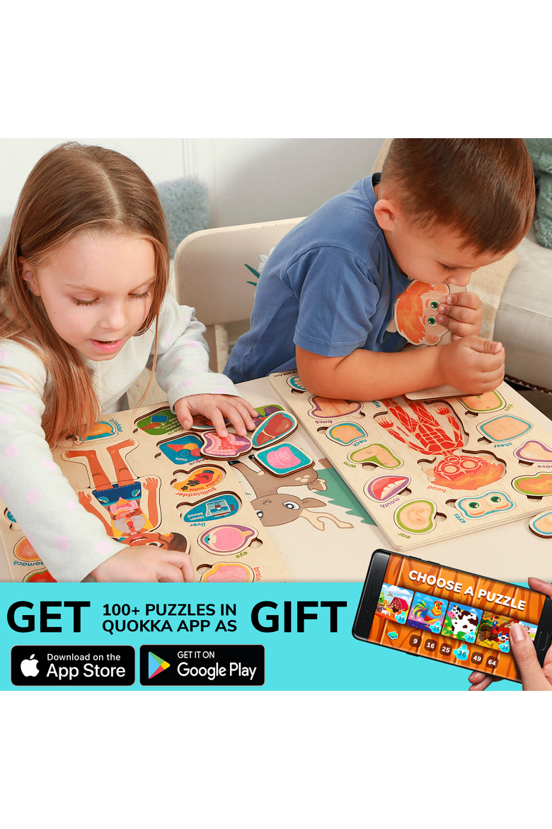 Learning Kids Puzzles Human Anatomy, Alternate, color, Body Parts