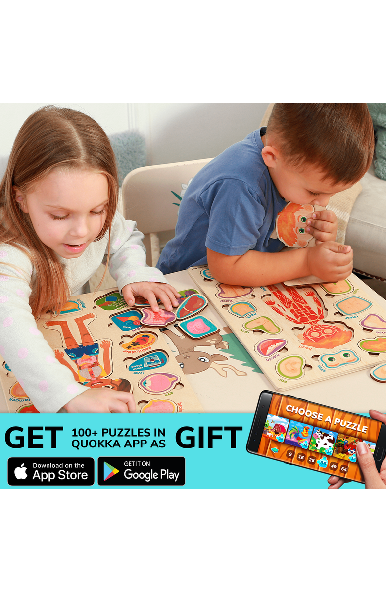 Quokka Human Anatomy Learning Puzzles for Kids, Alternate, color, Body Parts