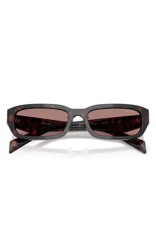 Prada 55mm Rectangular Sunglasses In Lite Brown
