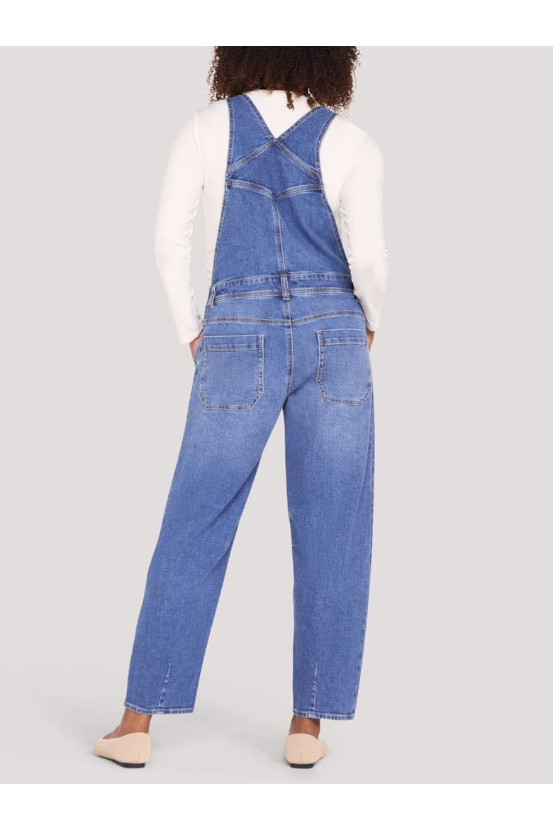Barrel Leg Denim Overall, Alternate, color, Metz Medium Wash
