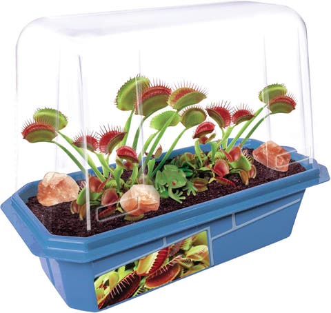 Miniature Worlds Terrifying Venus Flytrap Terrarium Starter Kit