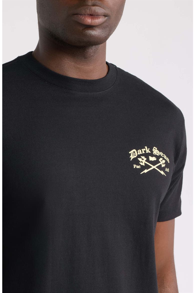 Avalon Graphic T-Shirt, Alternate, color, HEATHER BLACK
