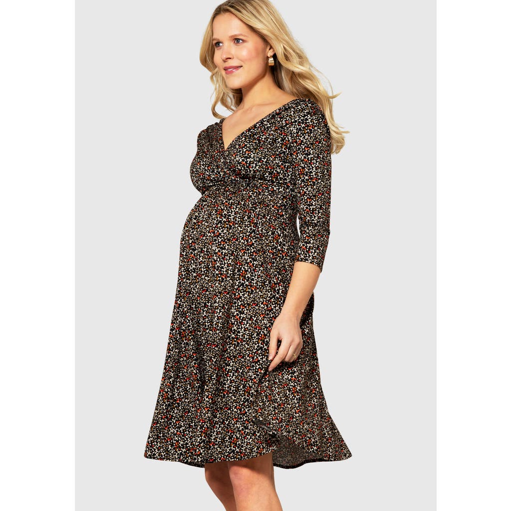Tiffany Rose Maternity Willow Maternity Dress In Multi