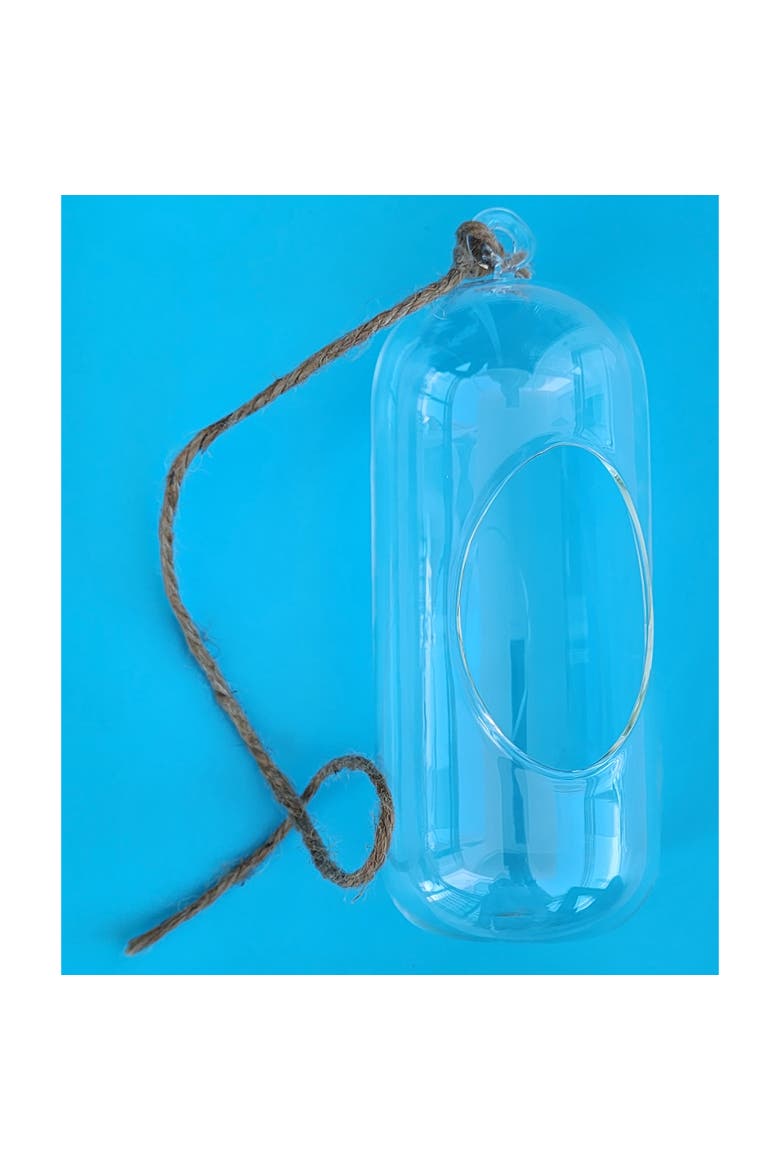 Carefree Capsule Glass Terrarium, 2 Pack, Alternate, color, Clear