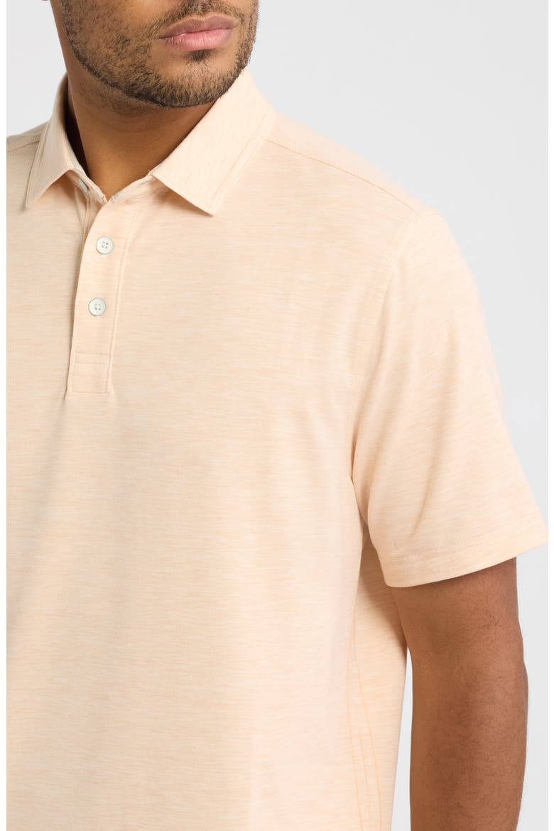 Coasta Vera Porto Polo, Alternate, color, ROE