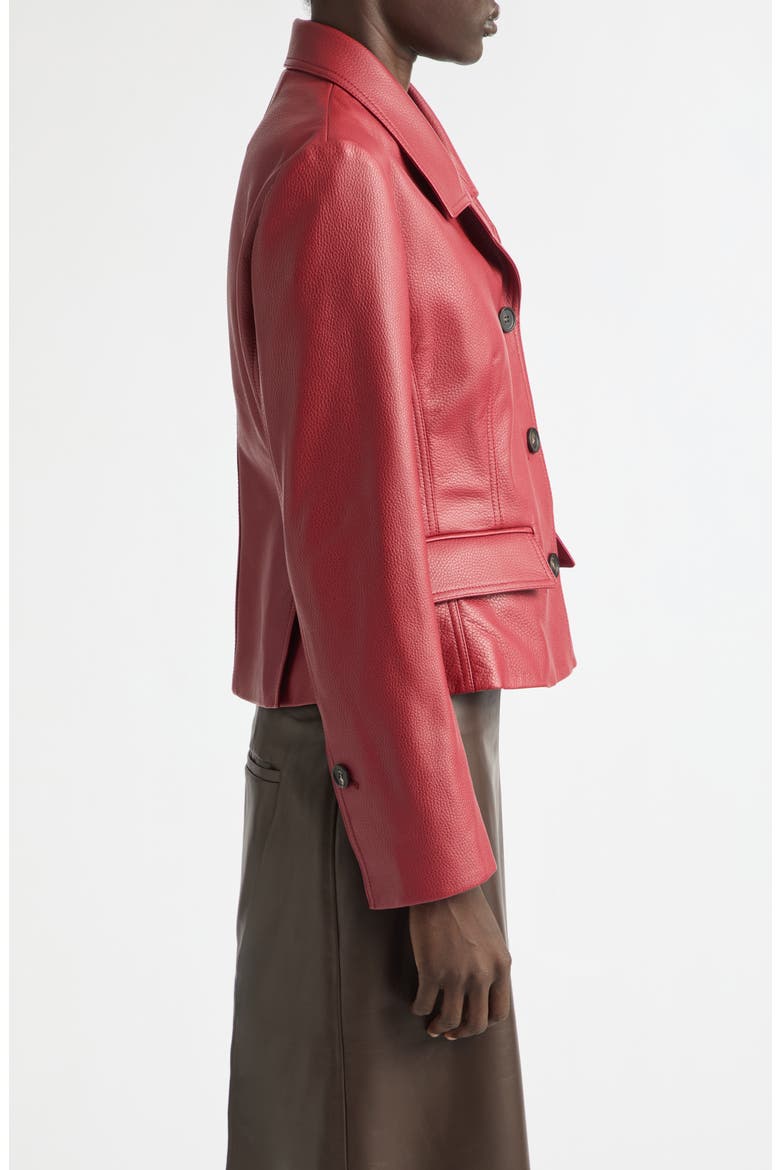 Single Breasted Leather Jacket, Alternate, color, COLLEGE RED/ EXPRESSO