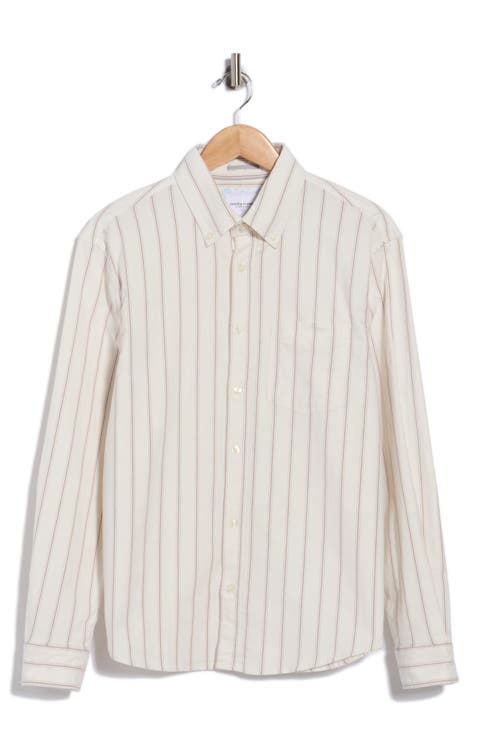 Stripe Button-Down Shirt