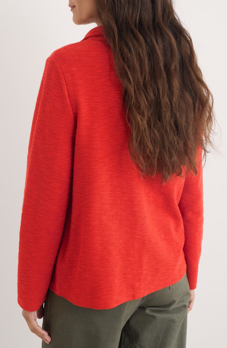 Seasalt Cornwall Last Boat Organic Cotton Henley Sweatshirt, Alternate, color, Dark Cinnamon