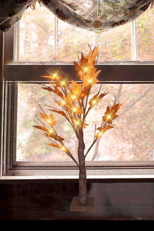 Northlight 2' Pre-lit Maple Artificial Fall Harvest Tree- Clear Led Lights In Multi