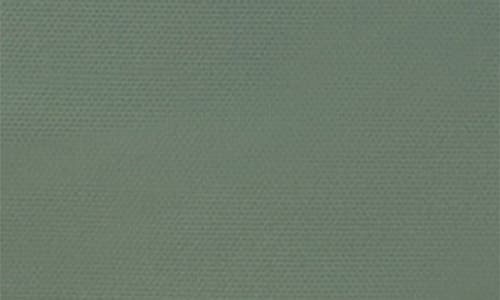 Herschel Supply Co . Roll Top Backpack In Green