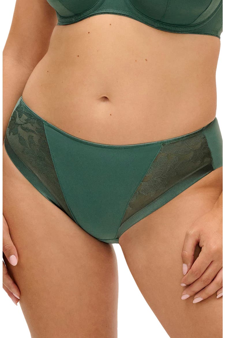 Illusion Full Figure Mesh Briefs, Main, color, MEADOW MIST