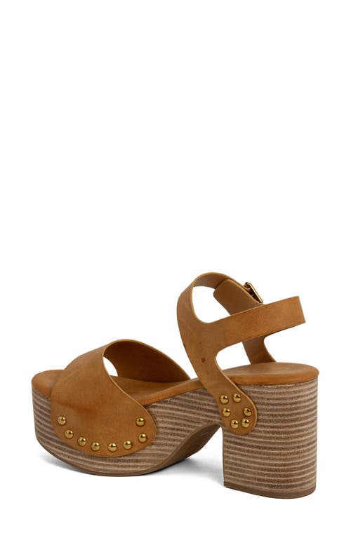 Shushop Gia Ankle Strap Platform Sandal In Brown