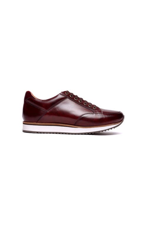 A. Veer Brooklyn Sneaker In Brown