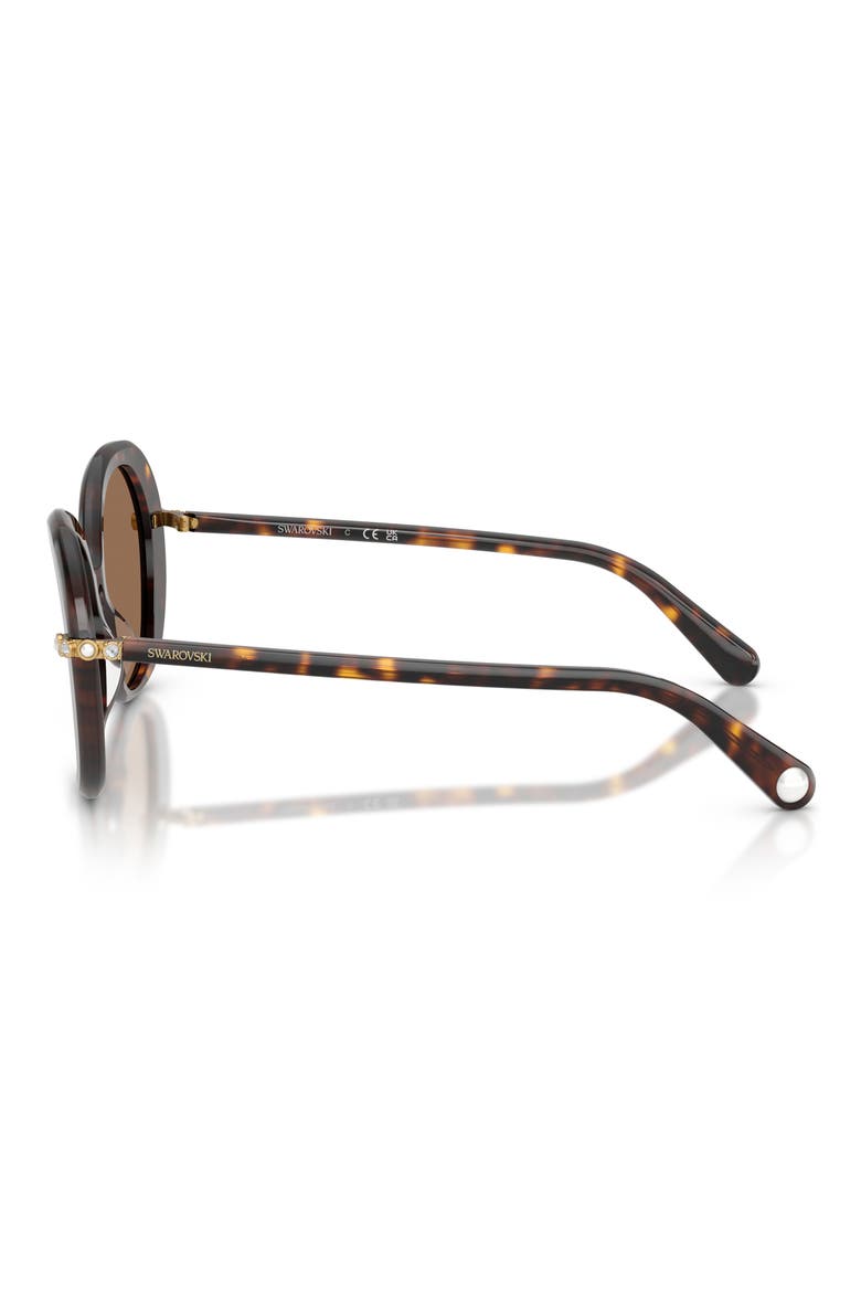 55mm Butterfly Sunglasses, Alternate, color, HAVANA / DARK BROWN