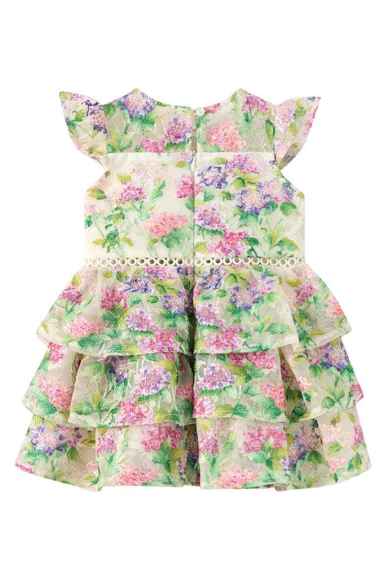 Clementine Embroidered Mini Dress, Alternate, color, Floral