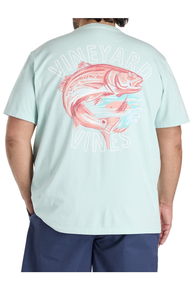 Big & Tall Painted Redfish Graphic Tee, Main, color, AQUA HAZE