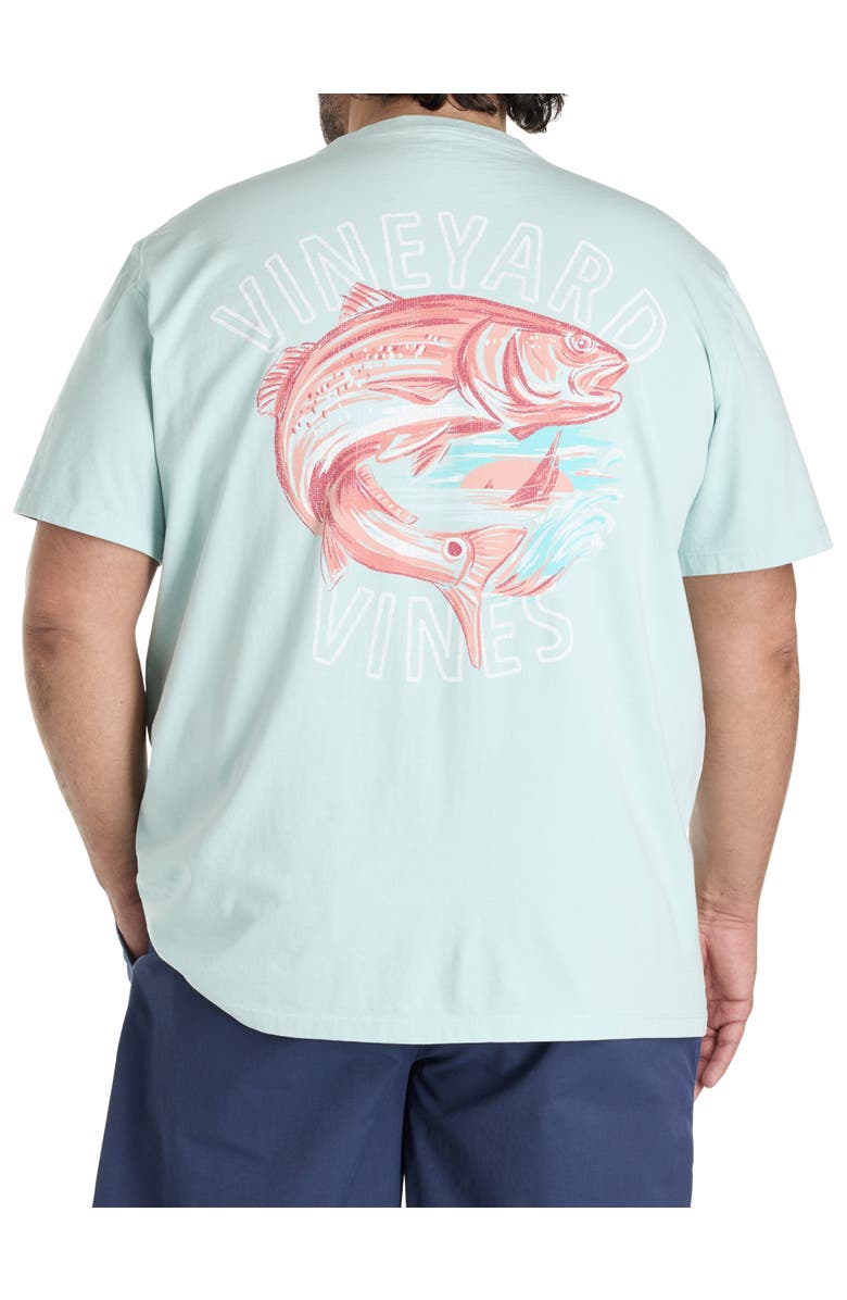 vineyard vines Big & Tall Painted Redfish Graphic Tee, Main, color, Aqua Haze