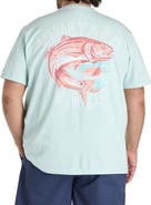 vineyard vines Big & Tall Painted Redfish Graphic Tee